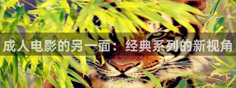 紅葉影院app：成人電影的另一面：經(jīng)典系列的新視角